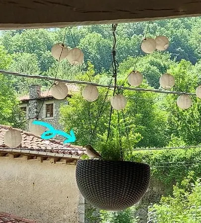 Nevandi * Pido