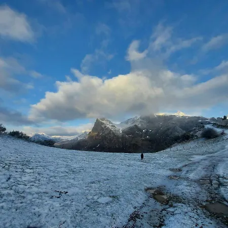 Nevandi *