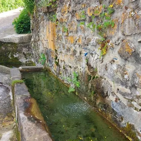 Nevandi Apartamento Pido