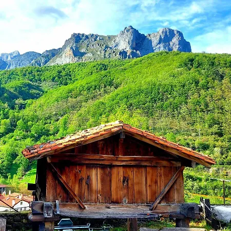Nevandi Pido