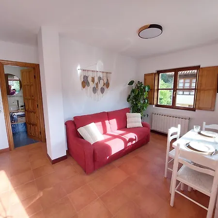 Nevandi Apartamento Pido