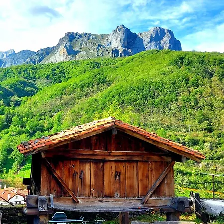 Nevandi * Pido