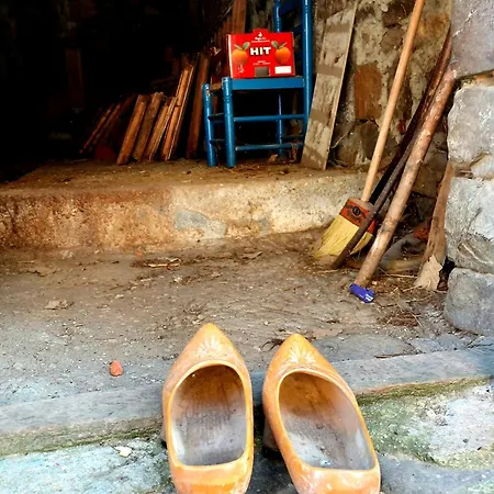 Apartmán Nevandi Pido