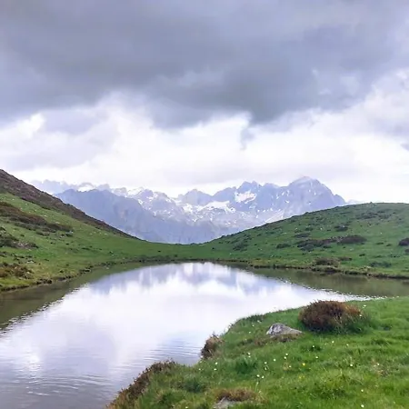 Nevandi