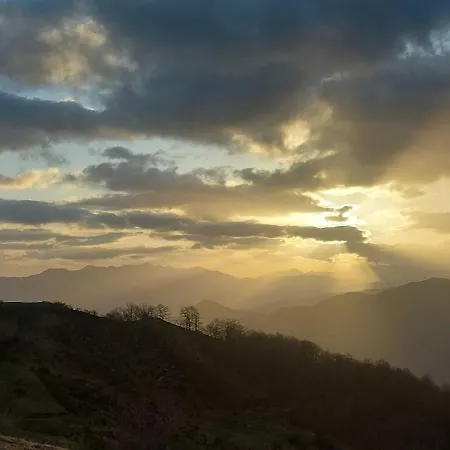 Nevandi * Pido