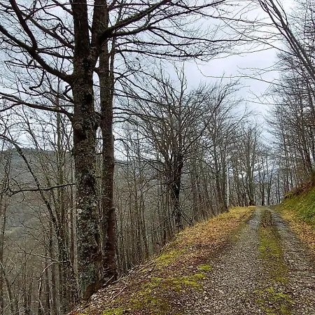 Nevandi Apartmán Pido