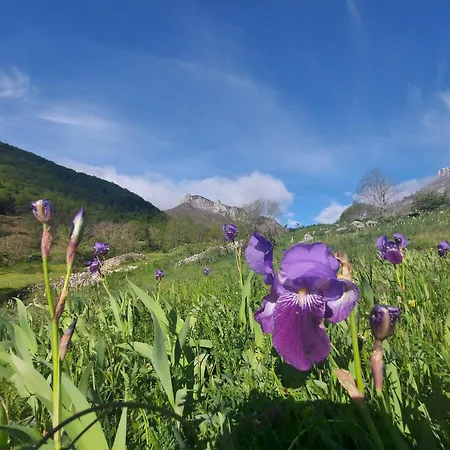 Apartamento Nevandi *