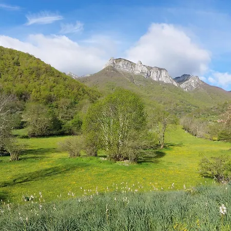 Apartamento Nevandi *