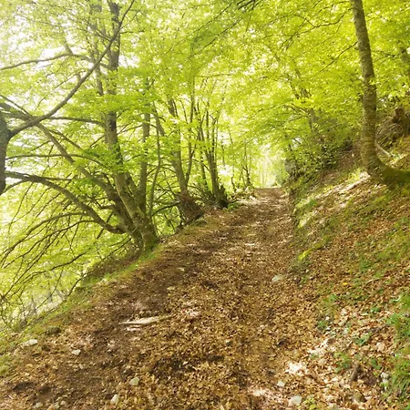 Apartmán Nevandi Pido